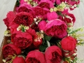 IMG_20260216_144845646.jpg