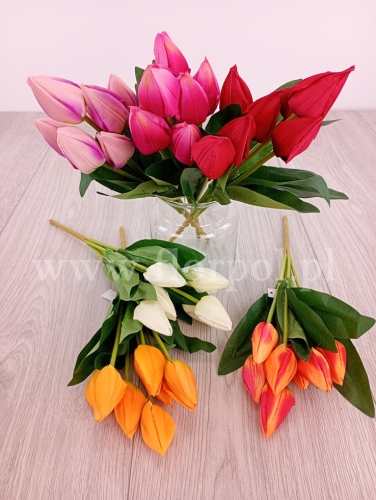 tulipany stożkowe w bukiecie - karton 48szt mix (HD200124) 24022026a