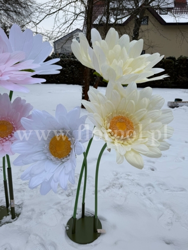 stokrotka gigant h 160cm 1szt biały (RD105)