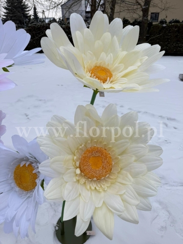 stokrotka gigant h 125cm 1szt żółty (RD104-1)