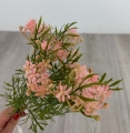 IMG_6247.jpeg