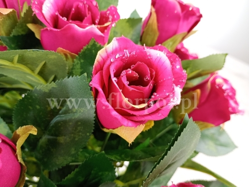 bukiet róż w pączkach z rosą - karton 24szt mix A (HDD6282)