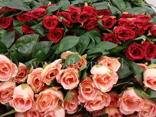 bukiet róż w pączkach z rosą - karton 24szt mix B (HDD6282)