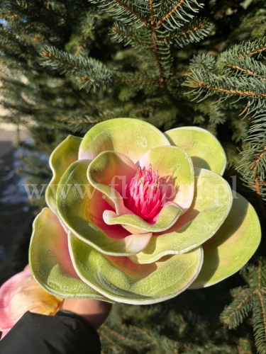 kwiat na piku, pianka 6szt #4 zieleń/róż (KWZP0000104H)  26022026a