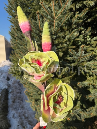 łodyga kwiaty z pąkiem, pianka 1szt #4 zieleń/róż (KWZP0000104)  26022026a