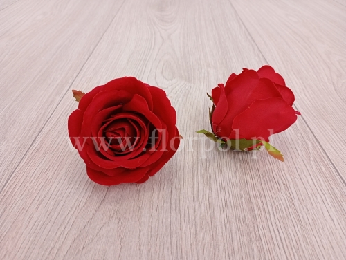 4e8dec76bb2dfabd629a38a26c520d89