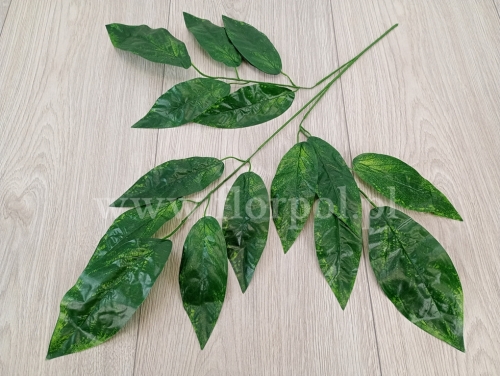 gałąź  liście mango 12szt c.zieleń/jasnozielone plamy (B3/15)