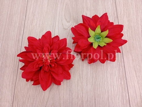 dalia  cieniowana 12szt czerwony (KDGW217)