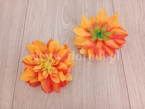 dalia  cieniowana 12szt odc.pomarańcz (KDGW217)