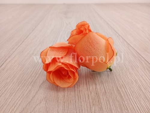 róża wysoki pączek - żyłkowanie 12szt pomarańcz/żółty (KDGK172)