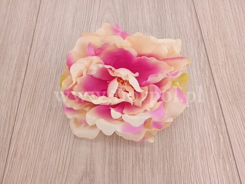 peonia otwarta 1szt cuk.róż/krem (L1021A)