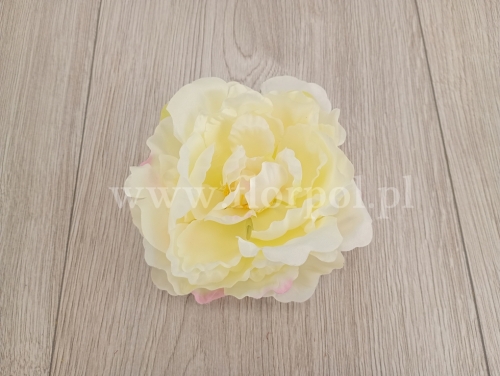 peonia otwarta 1szt wanilia/różowy cień (L1021A)