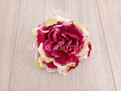 peonia otwarta 1szt amarant/ecru/zieleń (L1021A)