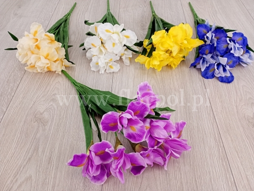 bukiet irysów - karton 36szt mix (HD2100177)  932026a