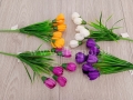 florpol.pl 12521.jpg