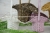sztuczny kwiat0130.JPG