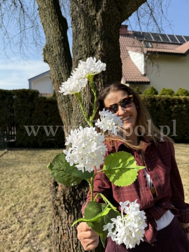 lilak / bez silikonowy 4K - karton 24szt white (TPY1004)  -1032026b