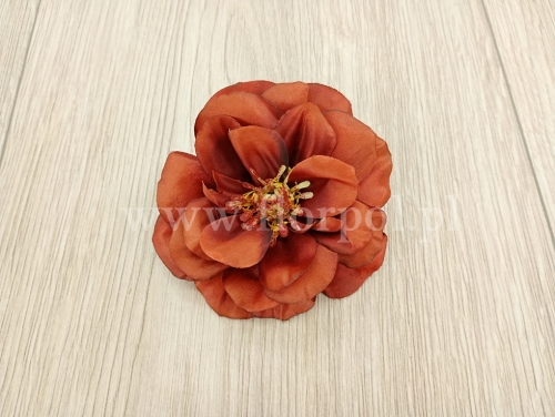 róża polna wyrobowa 12szt mahoń (ROL)