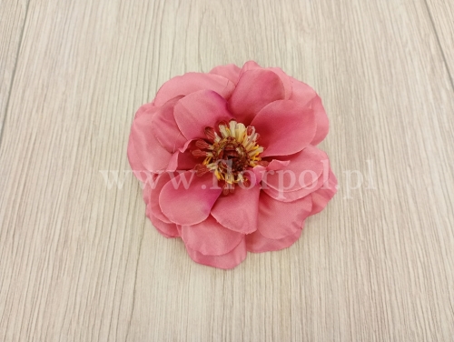 róża polna wyrobowa 12szt indyjski róż (ROL-S)