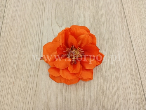 de78d2d63cfc9a4abbbc7985fdbdc613