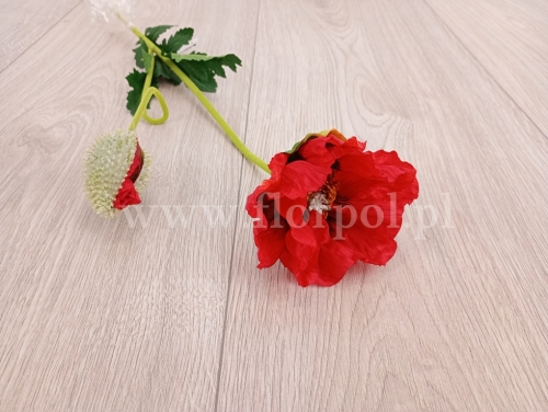 pojedynczy mak z odnóżką 1szt #3274 red (SUN618)  B1332026B