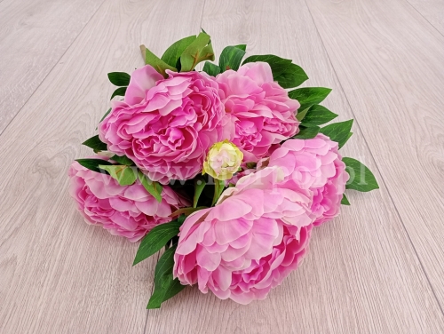 bukiet peonii 1szt #3082 candy pink  (SUN122) A1332026A