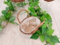 florpol.pl 12657.jpg