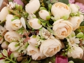 florpol.pl 12792.jpg
