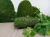 florpol.pl 12783.jpg