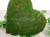 florpol.pl 12781.jpg