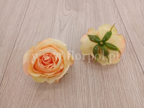 róża cieniowana - wyrobówka 12szt #3065 real peach (SUN892)