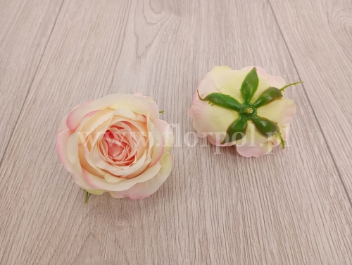 14c55b6ac2e2775aa5f3feb5479fb5e2