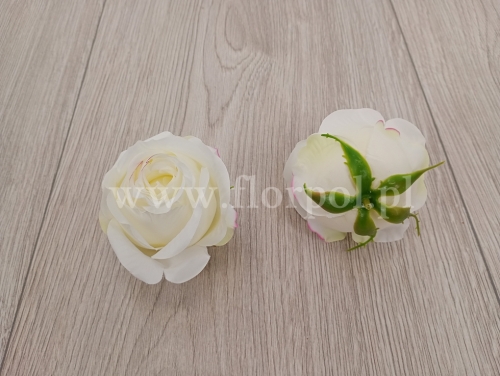 de360909d1bac238d61adf2cd0512577