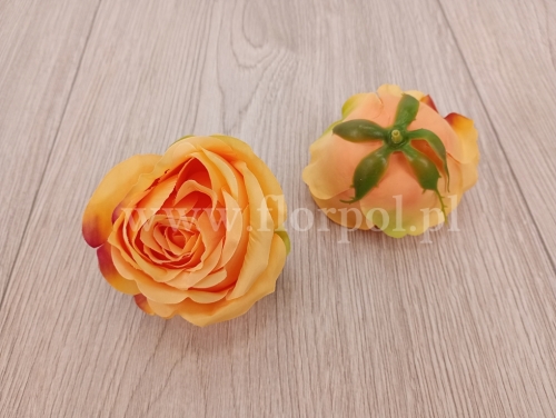 róża cieniowana - wyrobówka 12szt #24 lt.tea (SUN892)