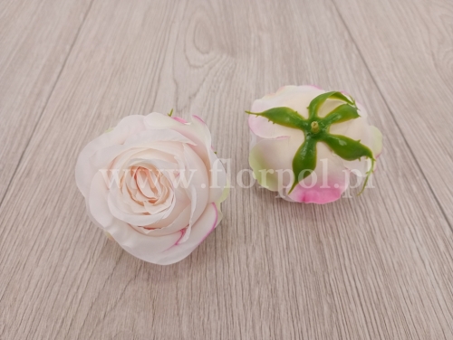 róża cieniowana - wyrobówka 12szt #3061 cream/powder pink (SUN892)