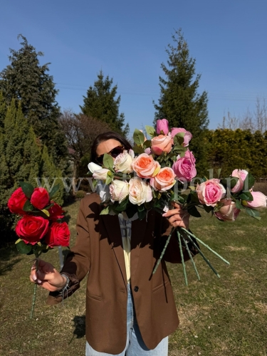 róża piątka  na łodydze - karton 24szt mix (FA0403)  WT2432026A