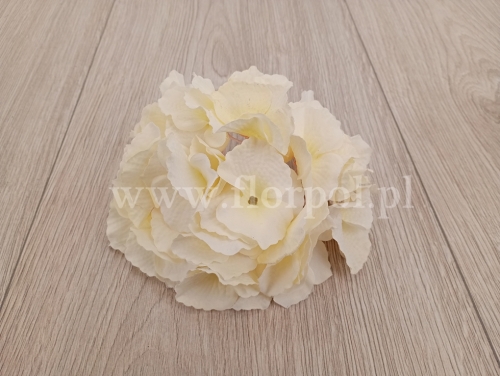 hortensja mikropicz 1szt wanilia