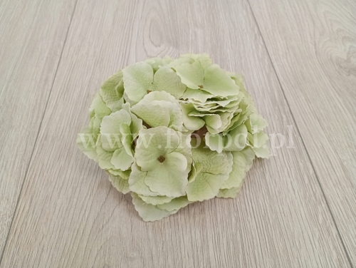 hortensja mikropicz 1szt mięta