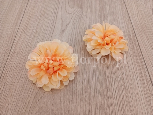 dalia cieniowana wyrobówka 24szt brzoskwinia (T129-25-2842)