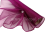organza szeroka 12895.png