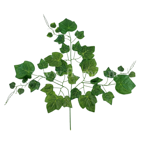 Gałąź winorośli z wąsem 12szt  ciemny zielony PNG