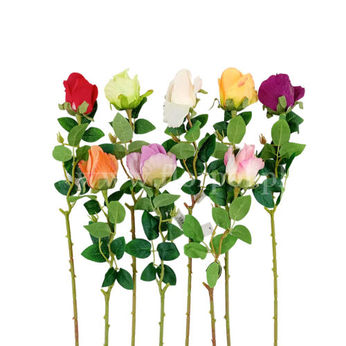 Róża pojedyncza - karton 60szt mix (HD208286)