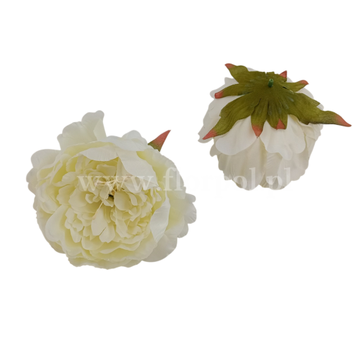 Peonia z pręcikiem - wyrobówka 6szt waniliowy (FME074513N)