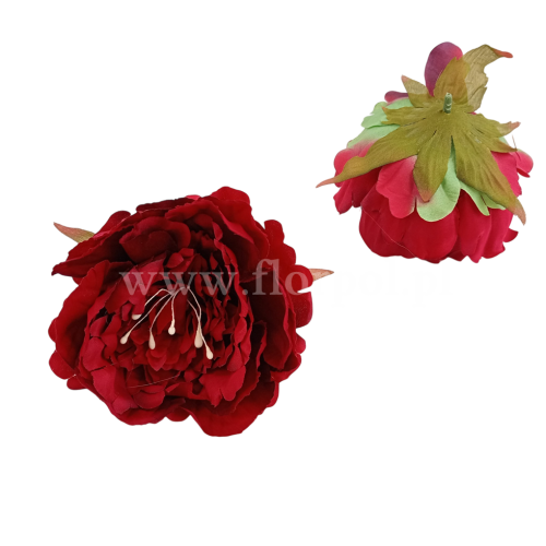 5f360a312dd5a2f2998847aa5a5ce8ce