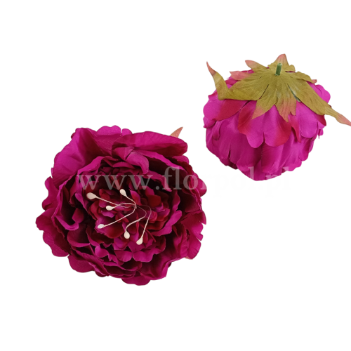 1120cd7490e42c2770d2b07c1bc74998