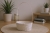 IMG_20260402_120930054 (Product Staging) 2.jpg