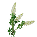 florpol.pl 12929.png