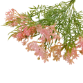 florpol.pl 12923.png