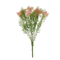 florpol.pl 12924.png