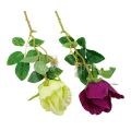 florpol.pl 12913.png